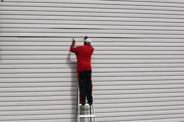 Affordable Siding Repair and Maintenance Services in Webster, SD