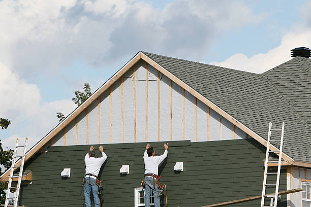 Best Stone Veneer Siding  in Webster, SD