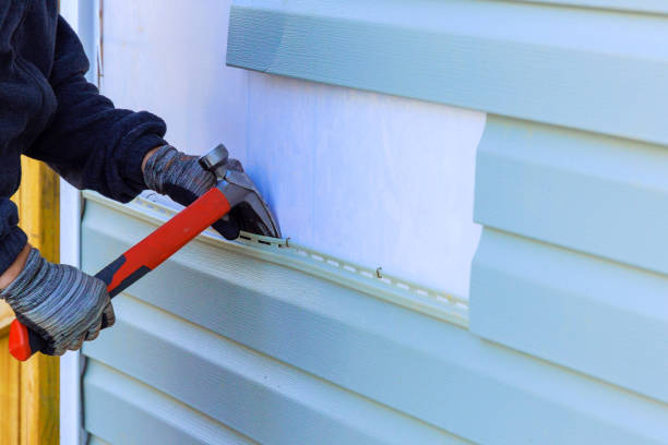 Best Vinyl Siding Installation  in Webster, SD